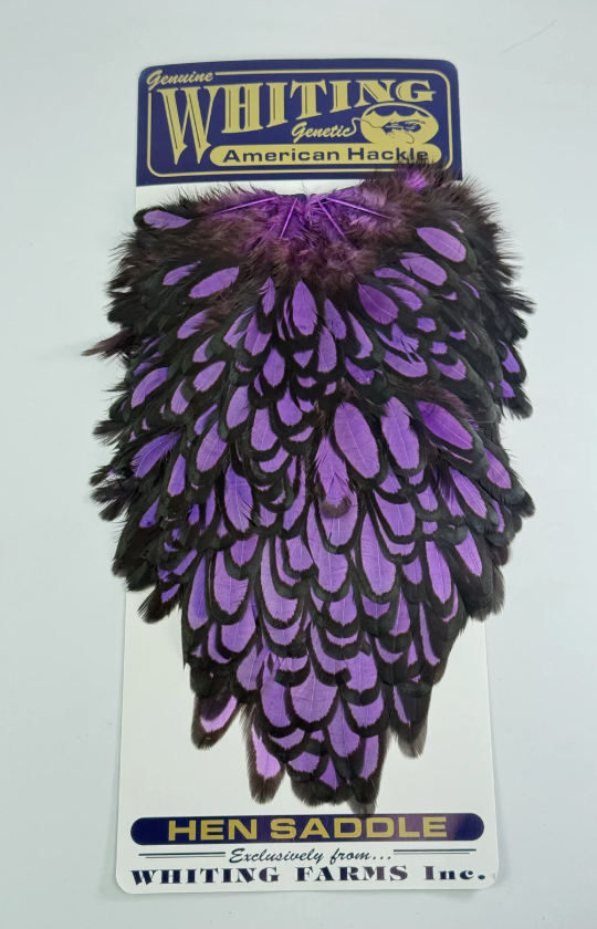 Whiting American Hen Saddle - Black Laced White Dyed -