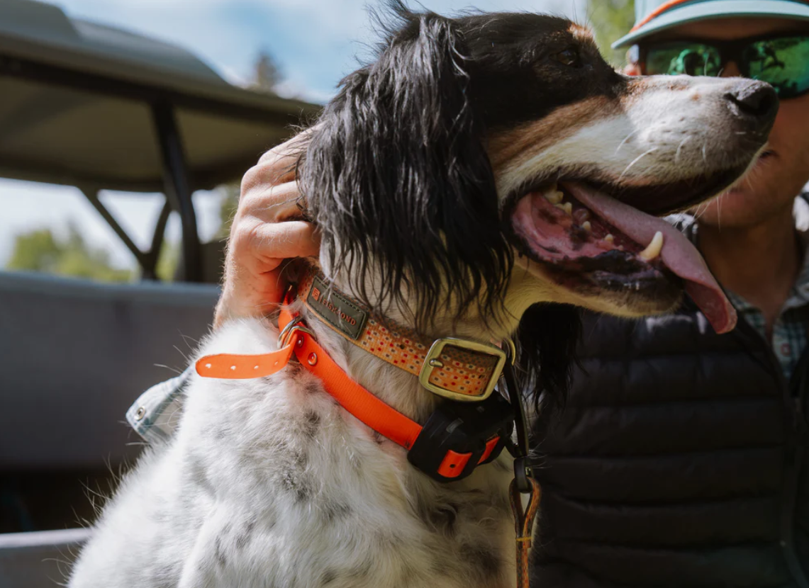 Fishpond Dog Collar