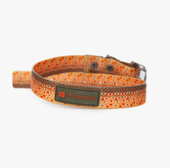 Fishpond Dog Collar