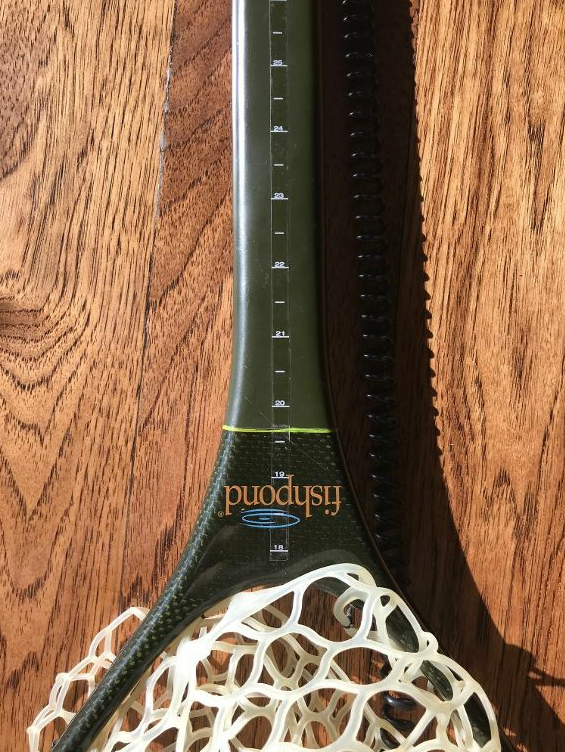 Wind River Gear Rod & Net Ruler
