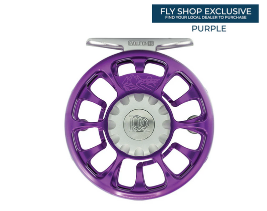 2026 Ross Evolution FS - Purple