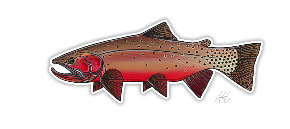Colorado River Cutthroat