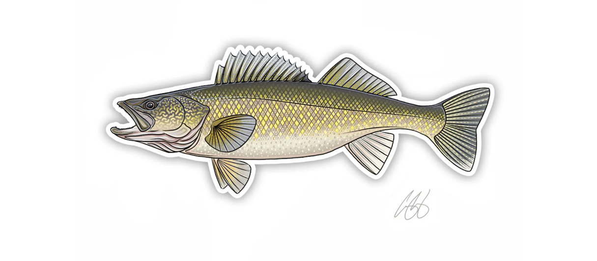 Walleye Decal