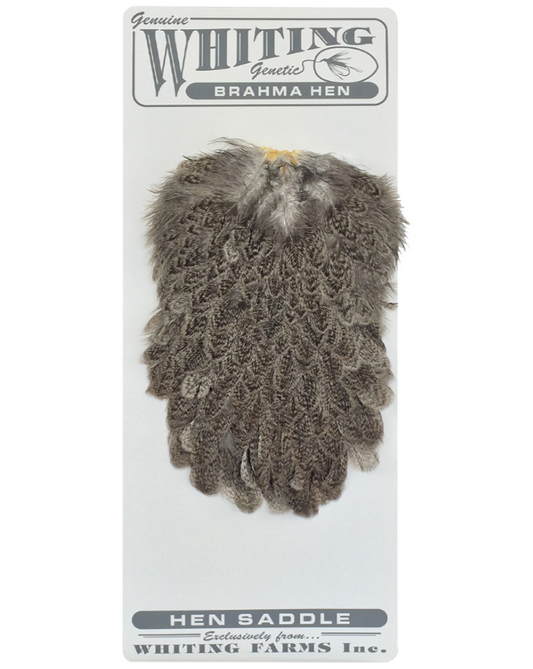 Brahma Hen Saddle