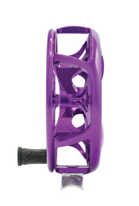 Ross Colorado - Purple