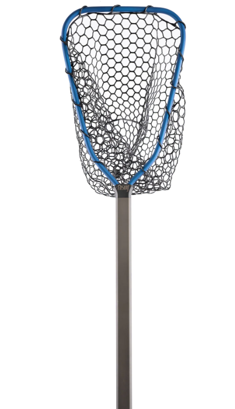 Rising Brookie Net