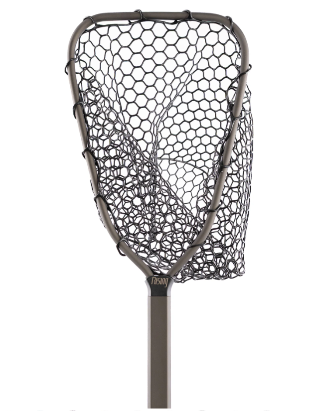 Rising Brookie Net