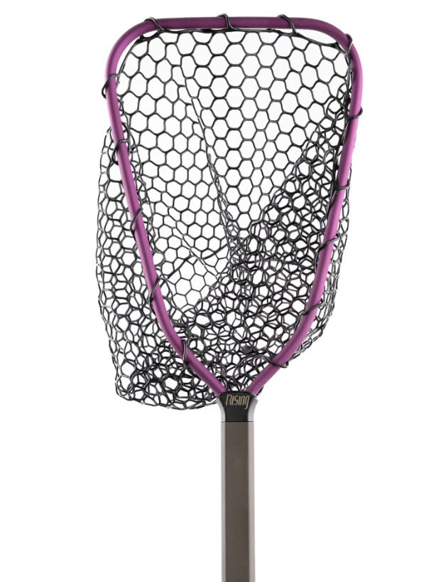 Rising Brookie Net