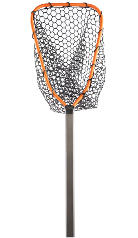 Rising Brookie Net