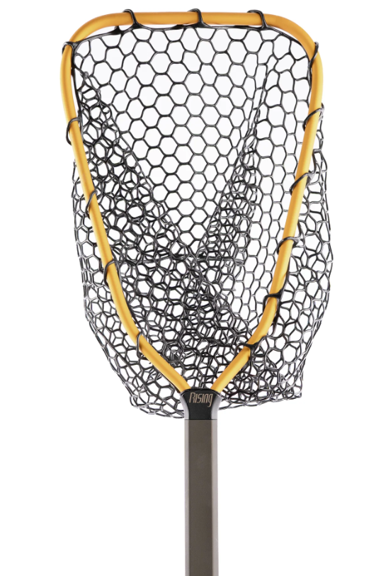 Rising Brookie Net