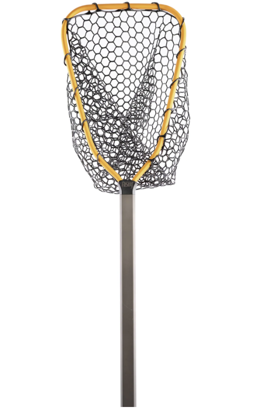 Rising Brookie Net