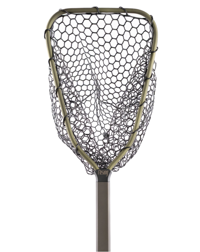 Rising Brookie Net
