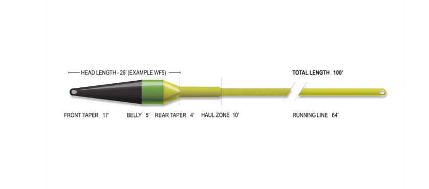 Superflo Max Ridge 2.0 - Streamer Max Short