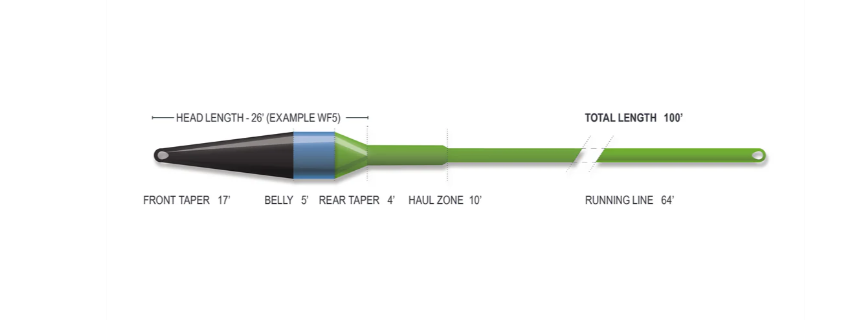 Superflo Max Ridge 2.0 - Streamer Max Short