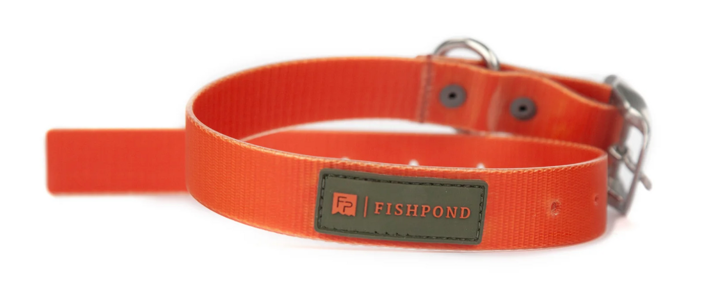 Fishpond Dog Collar