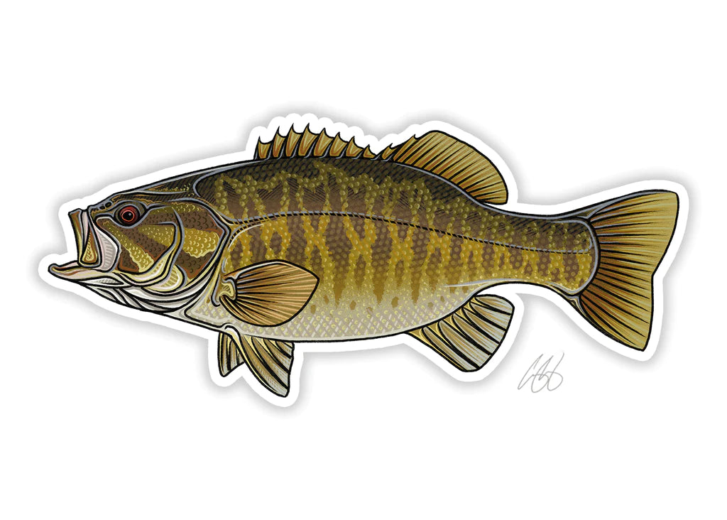 Smallmouth Decal