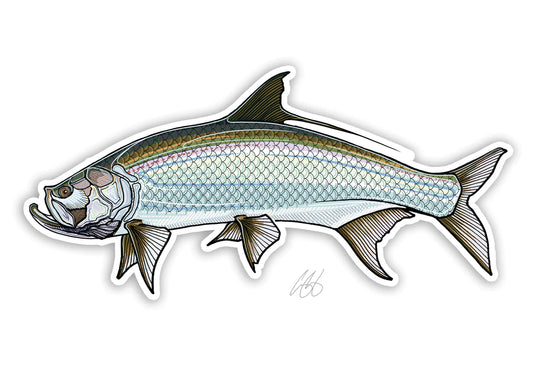 Tarpon Decal