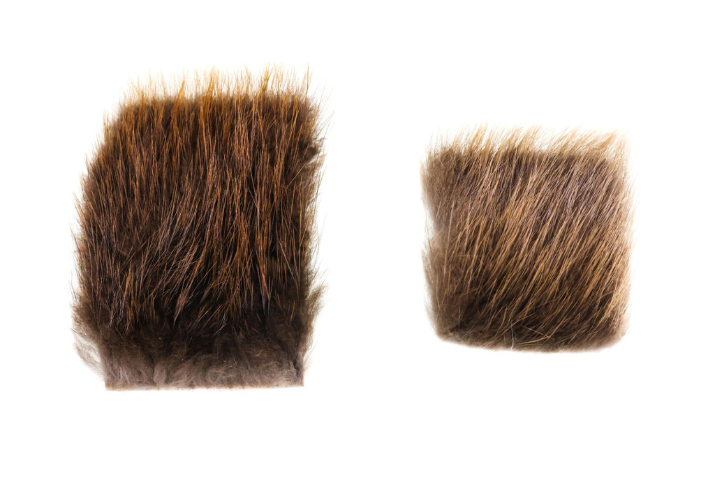 Beaver - Small
