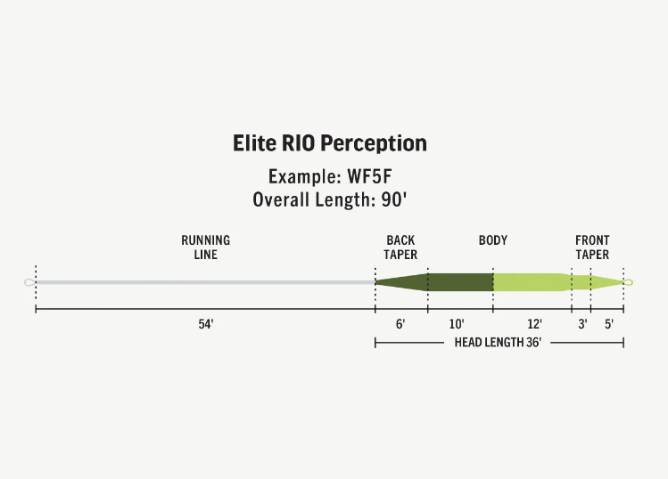 Rio Elite Perception Fly Line Green/Camo/Gray