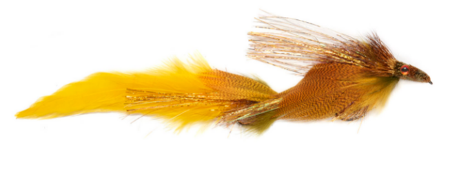 Fulling Mill D&D Deciever Olive/Yellow Size 2

